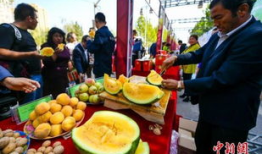 吃瓜最新事件爆料舞台,爆料舞台风云再起